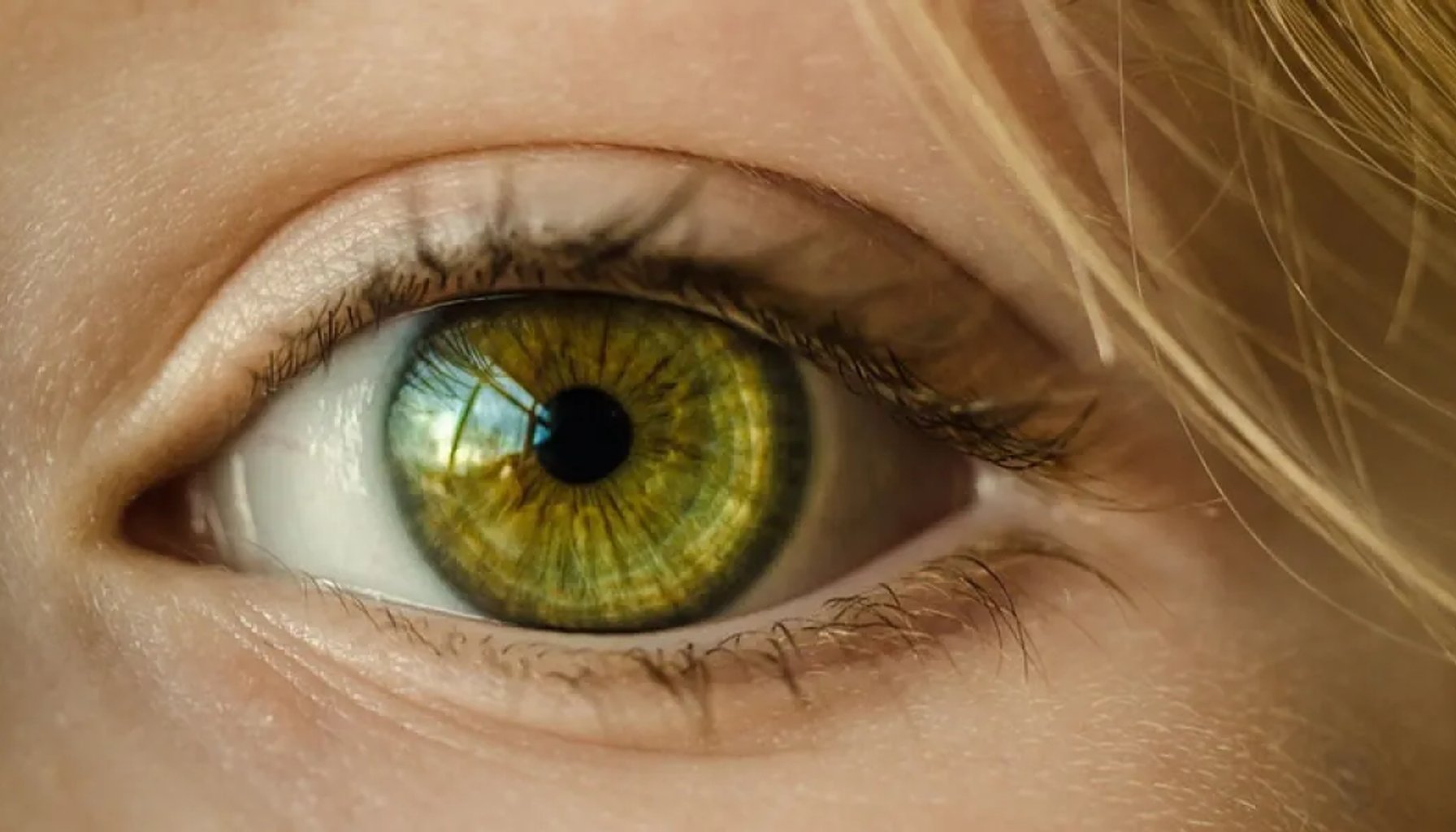 A retinal reboot for amblyopia