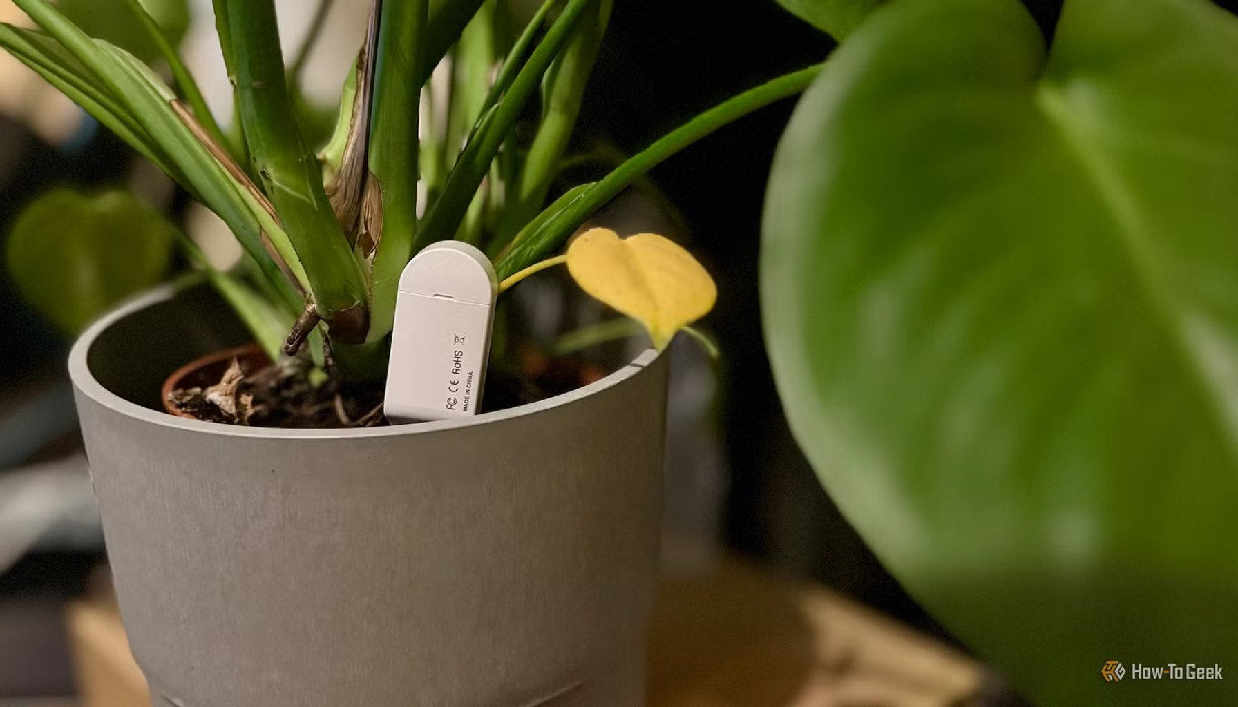 3 Home Assistant projects to put smart home tech in unusual places this weekend (Aug 21-23)