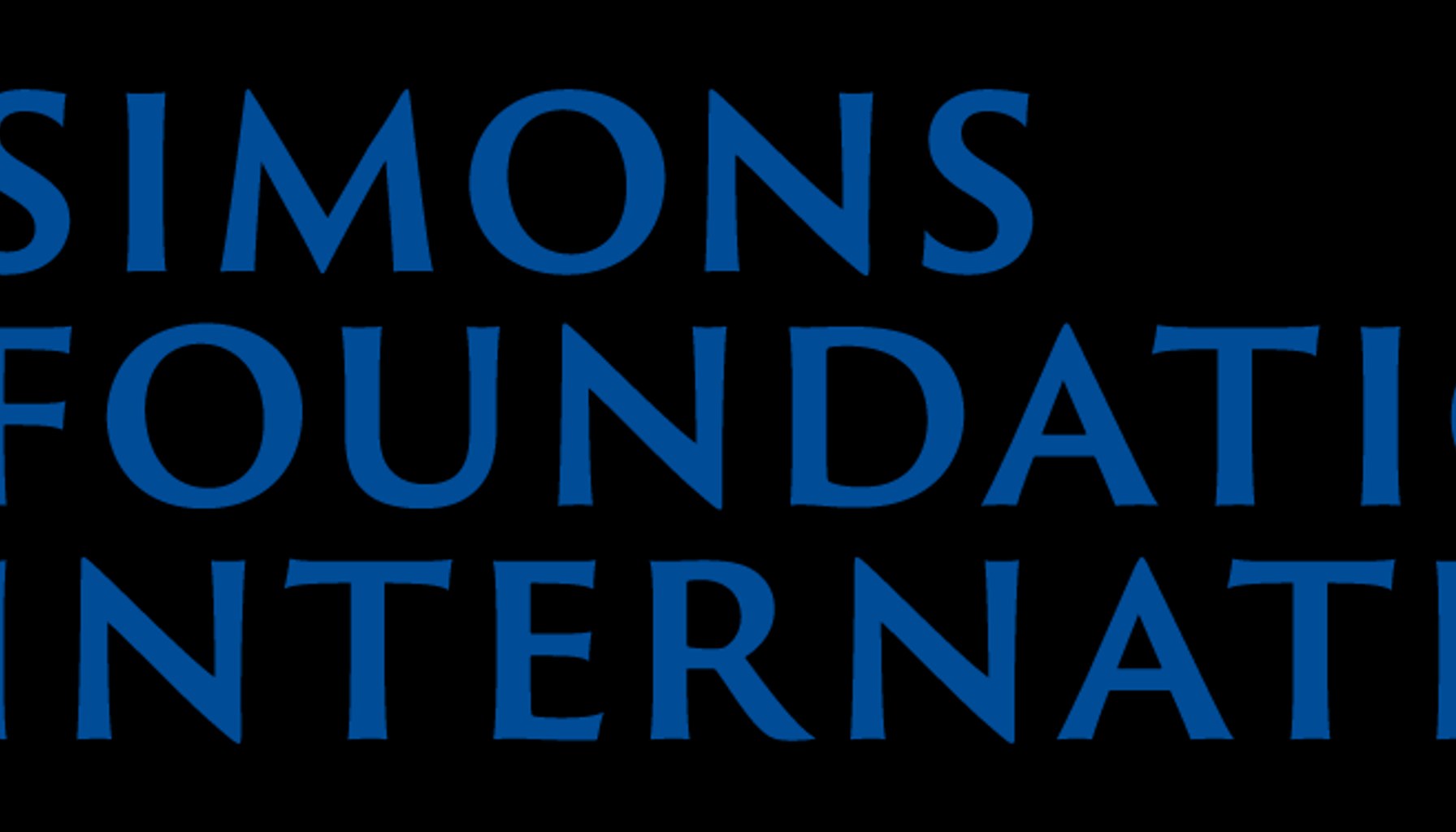 Simons Foundation International