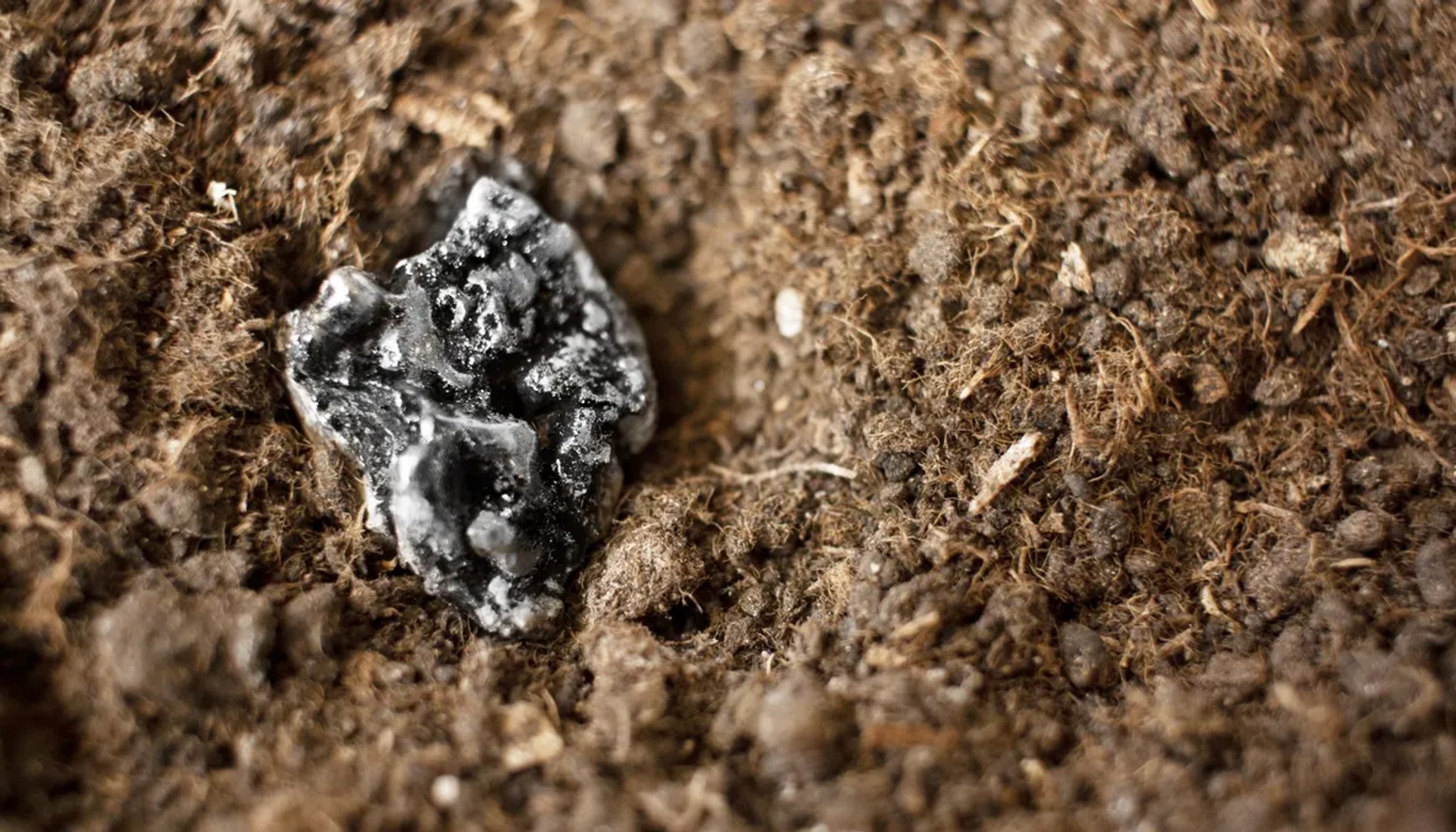 Rare earth metals emerge from the ground.